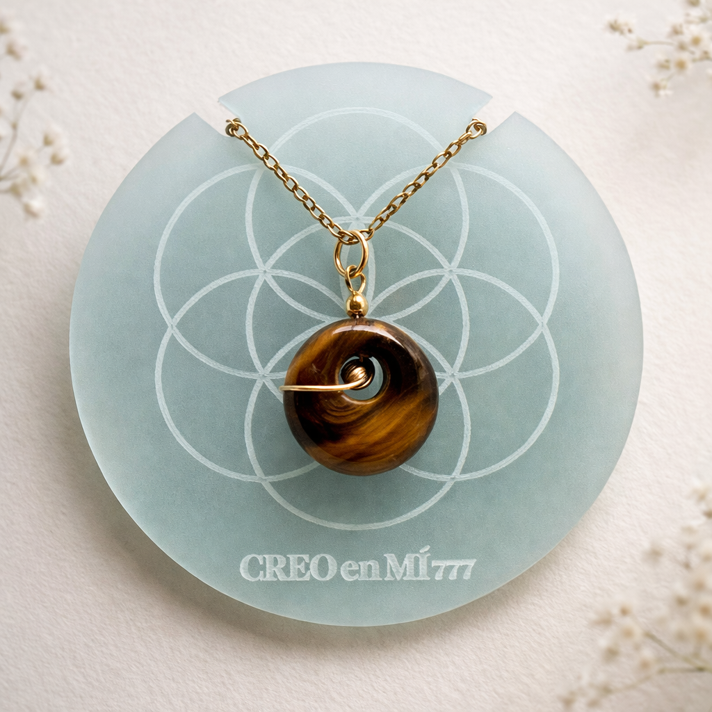 Órbita · Conexión interior